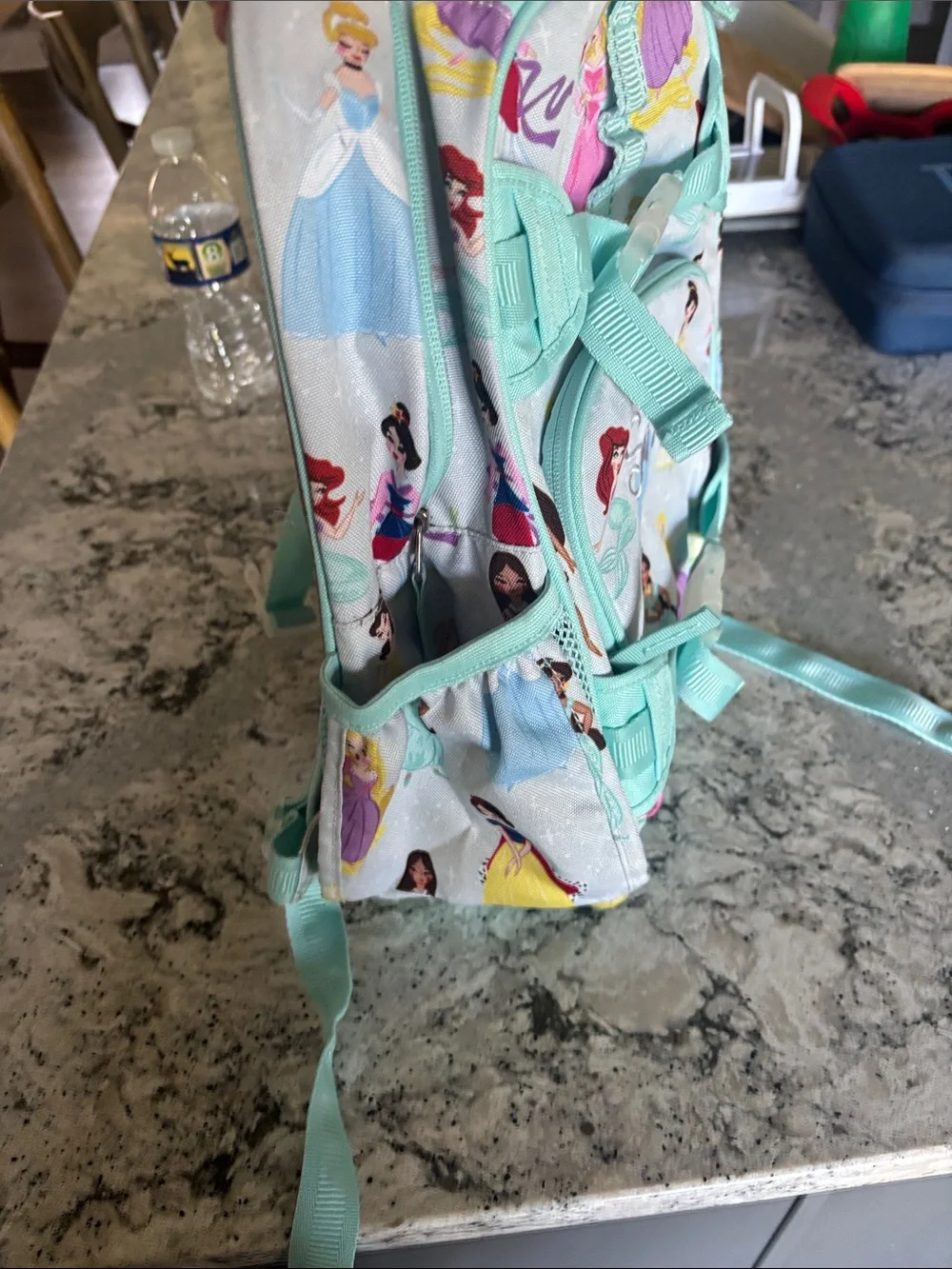 Pottery Barn Kids Mint Disney Princess Backpack- Sutton